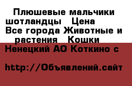 Плюшевые мальчики шотландцы › Цена ­ 500 - Все города Животные и растения » Кошки   . Ненецкий АО,Коткино с.